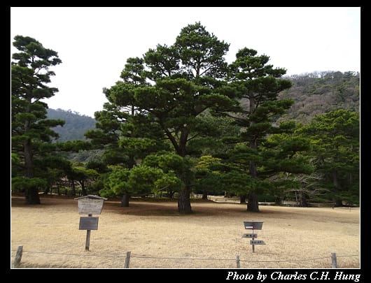 栗林公園_25.jpg 栗林公園_25.jpg