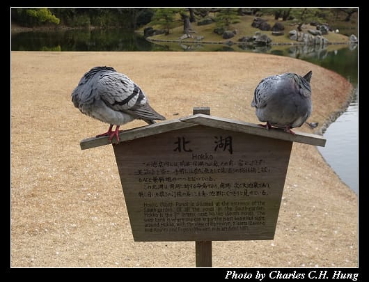 栗林公園_33.jpg 栗林公園_33.jpg