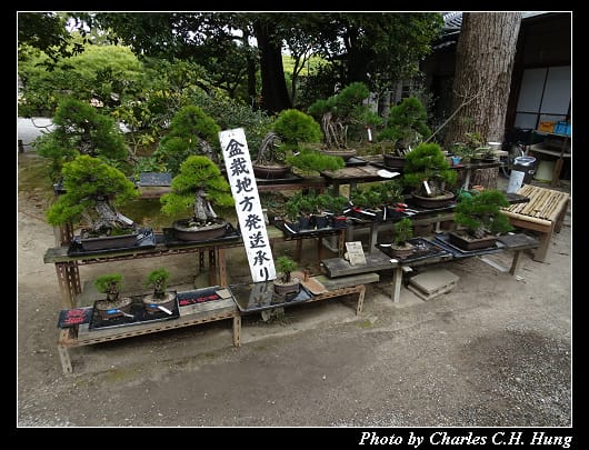 栗林公園_93.jpg 栗林公園_93.jpg