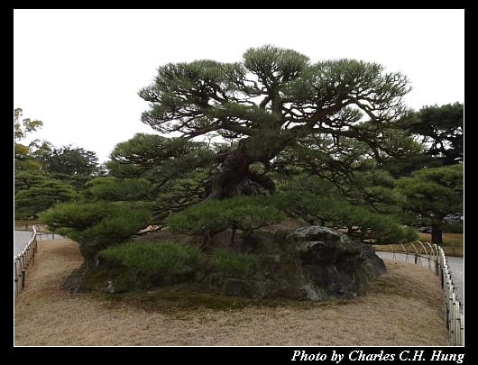 栗林公園_27.jpg 栗林公園_27.jpg