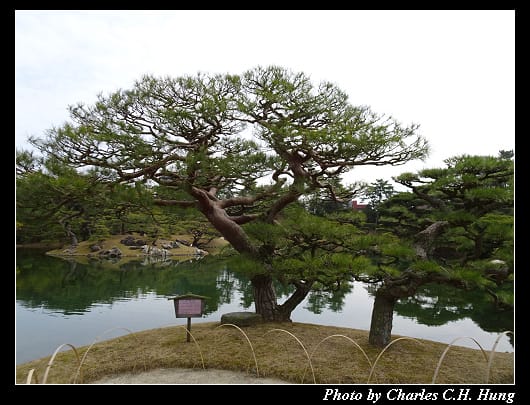 栗林公園_37.jpg 栗林公園_37.jpg