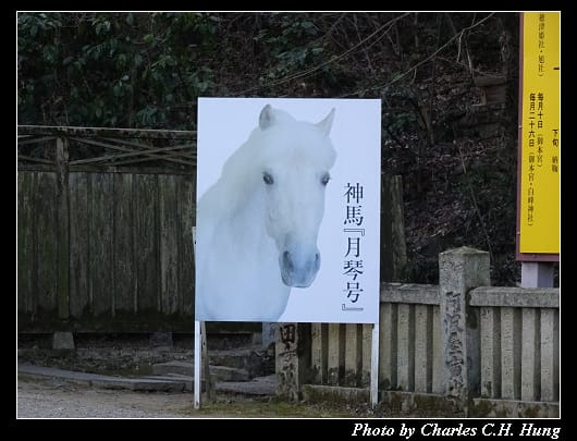 金刀比羅宮_039.jpg