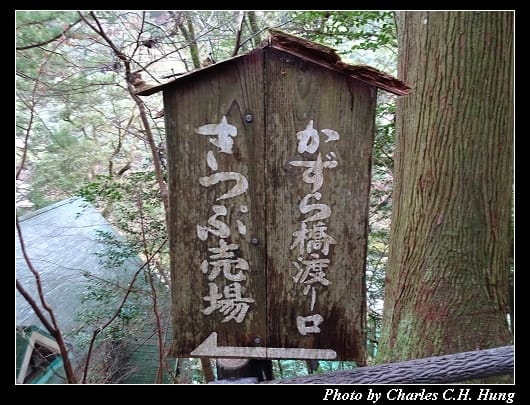 祖谷_025.jpg