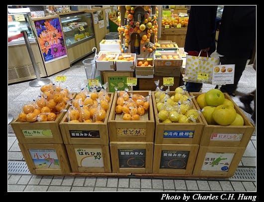 道後溫泉_067.jpg