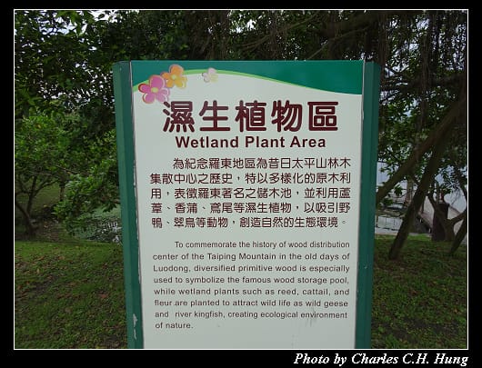 羅東運動公園_049.jpg