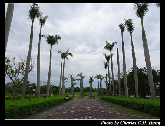 羅東運動公園_008.jpg