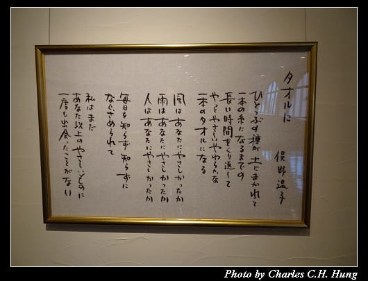 今治毛巾_089.jpg