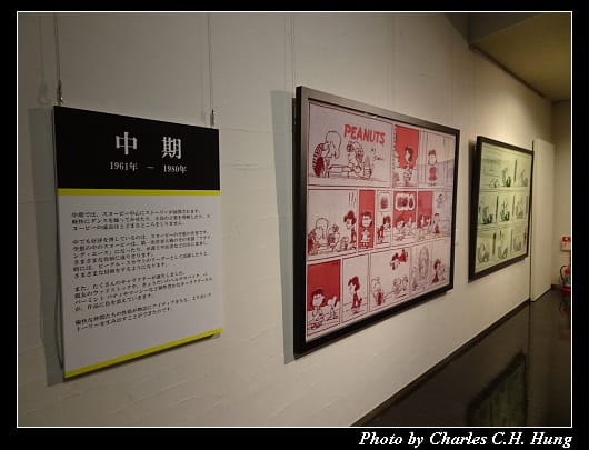 今治毛巾_107.jpg