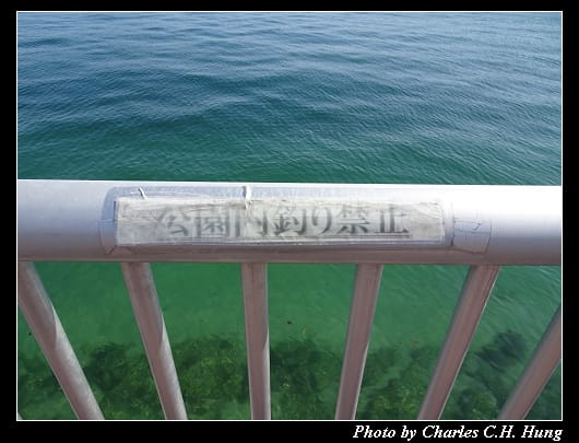 多多羅_012.jpg