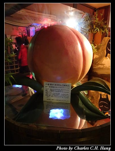 桃太郎_022.jpg