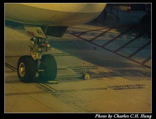 LH-797_010.jpg