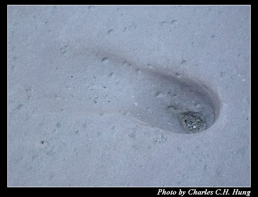 海德堡_060.jpg