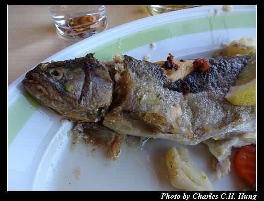鱒魚_021.jpg
