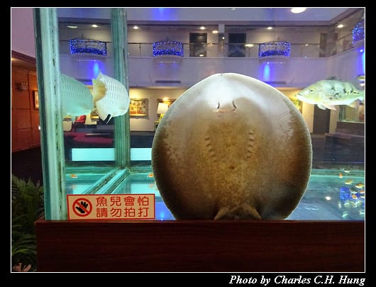 友愛_018.jpg