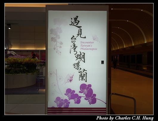 第二航廈_097.jpg