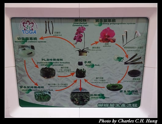 第二航廈_102.jpg