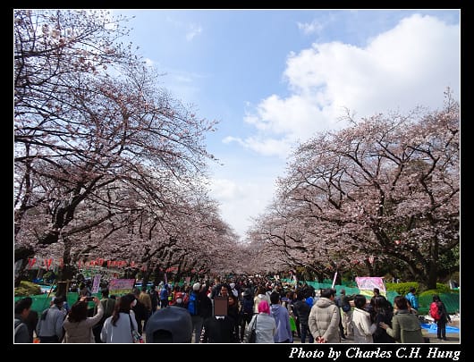 上野公園_007.jpg 上野公園_007.jpg
