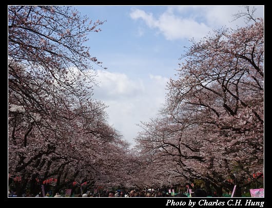 上野公園_008.jpg 上野公園_008.jpg