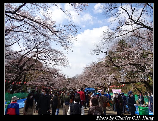 上野公園_014.jpg 上野公園_014.jpg