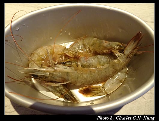 Yaki_080.jpg Yaki_080.jpg