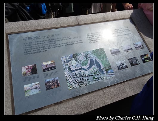 千鳥淵_022.jpg
