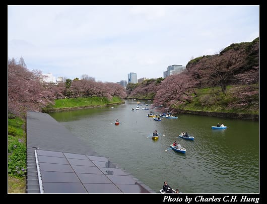 千鳥淵_024.jpg