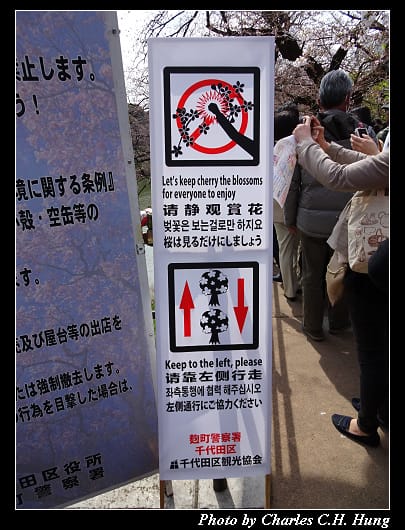 千鳥淵_003.jpg