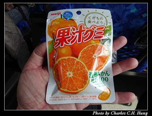 千鳥淵_036.jpg