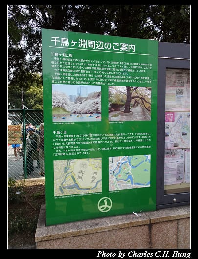千鳥淵_002.jpg