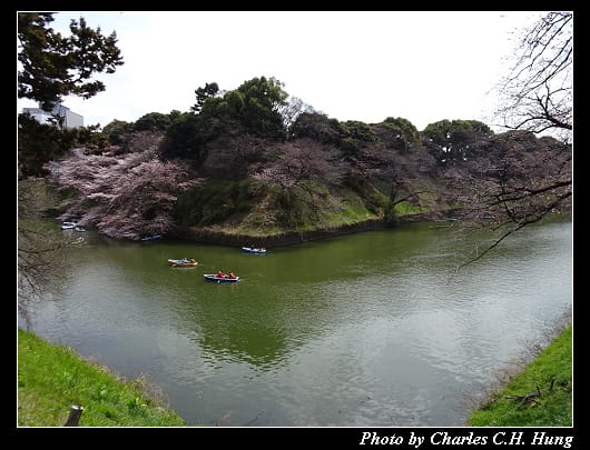 千鳥淵_005.jpg
