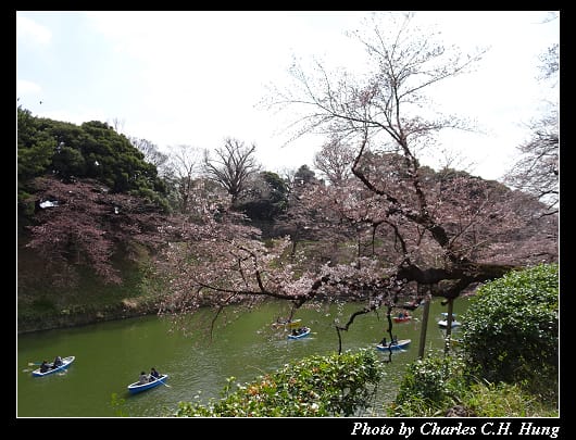 千鳥淵_017.jpg