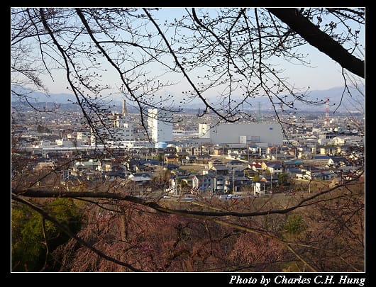 達磨寺_055.jpg
