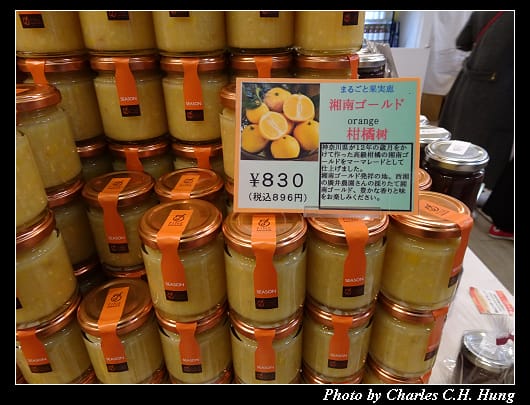 輕井澤_043.jpg