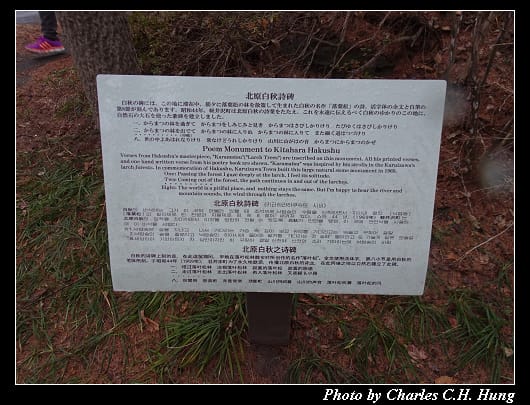 丸山珈琲_007.jpg