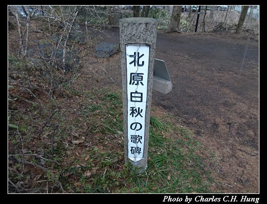 丸山珈琲_008.jpg