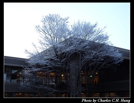 雪景_009.jpg