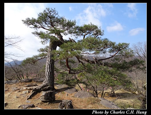 小諸城址_083.jpg