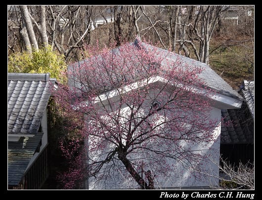小諸城址_082.jpg