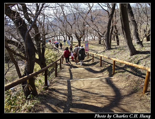 高遠城址_058.jpg