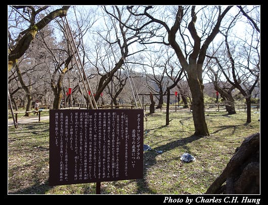 高遠城址_023.jpg