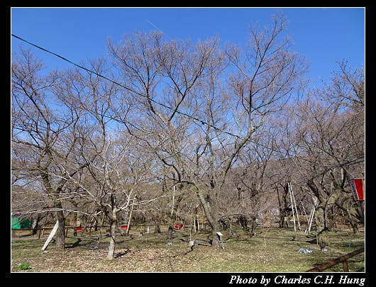 高遠城址_034.jpg