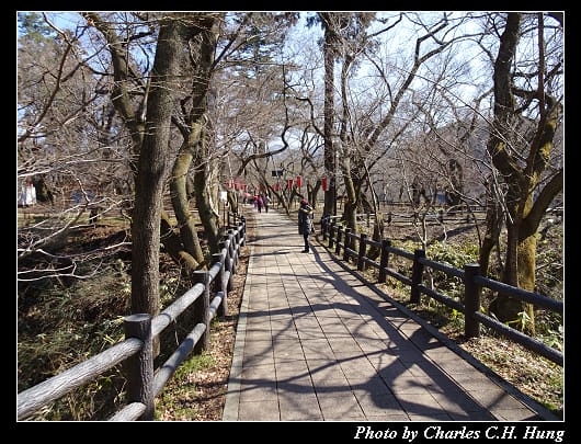 高遠城址_036.jpg