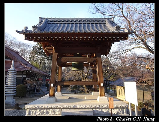 神代櫻_041.jpg