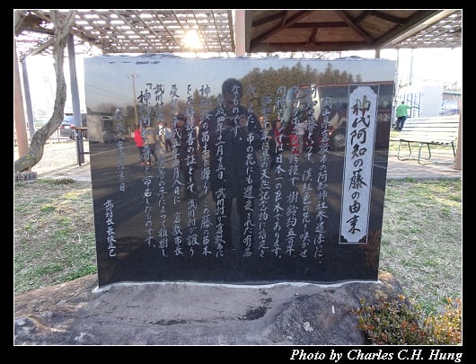 神代櫻_006.jpg