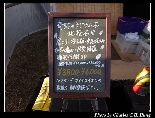 神代櫻_009.jpg