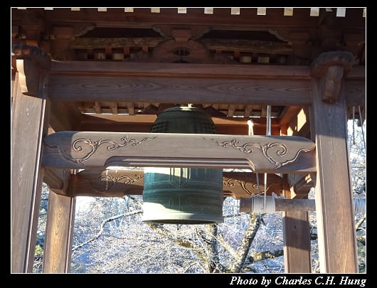 神代櫻_042.jpg
