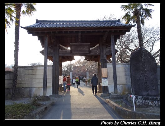 神代櫻_015.jpg