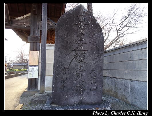 神代櫻_016.jpg
