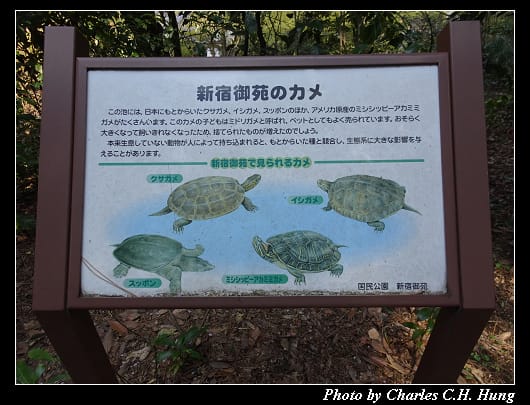 新宿御苑_042.jpg