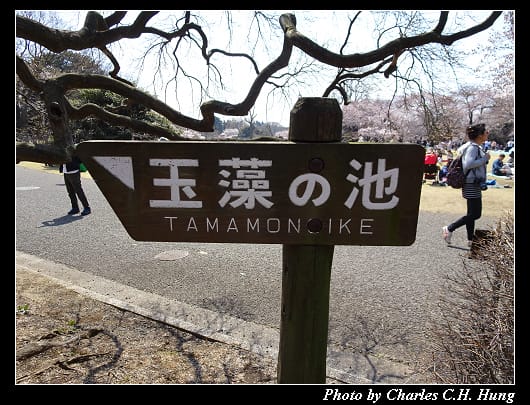 新宿御苑_031.jpg